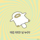 13. FILM BY STEVE 필름 바이 스티브 - 키이스케이프 메모리 컴퍼니 [강남]