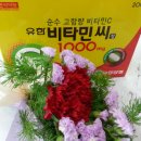 엘림꽃방 - 동작구 상도로 383-1 | 엘림꽃방