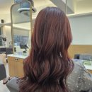 샘터미용실 | 괴정 미용실 추천 꼼꼼해서 만족 화미주아티클헤어 신괴정점