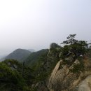 제 51차 험프리 산악회 정기산행충북 제천 신선봉(845m), 미인봉 이미지