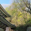 바라보다민박 이미지