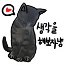 솔레루나 이미지