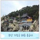 바닷가 나무집 | 부산 기장 해동 용궁사 시간 주차 입장료 바닷가 유명 절 사찰 투어