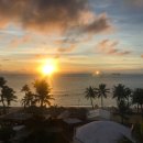 썬펠리스 이미지