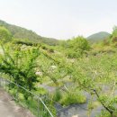 삼태리농장 이미지