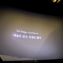 아티스트 GV (씨네21 김소미 기자, 실리카겔 김한주) 후기 / 텍스트 아카이브 @ CGV 용산아이파크몰