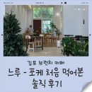 덮밥느루 | 김포 느루 후기｜생연어포케 처음 먹어본 솔직 후기, 김포 브런치카페 추천