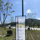 스카이덴트(경인강원) | 10월 강원도 단풍 휘닉스 파크 몽블랑 메밀꽃 곤돌라 가을 여행 추천