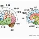 외국어로서의 한국어교육개론 이미지