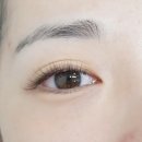 상남동263 이미지