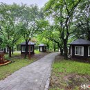 장계관광지 이미지