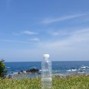 연꽃목장 이미지