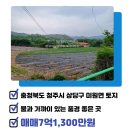 청주대성공인중개사사무소 이미지