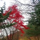 도덕산공원쉼터(방문자센터) 이미지