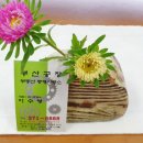 창고임대임차공인중개사사무소 이미지