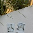 온리원 | 트리웨딩 아이폰 온리원스냅 후기