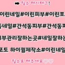 이린네일 - 21736 | 이린네일
