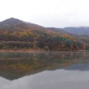 청용사 Daum카페