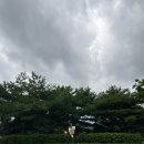 코리아컨트리클럽 이미지