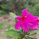 보령국민체육센터 수영장 이미지