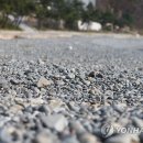 푸르다남해펜션 이미지