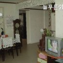 늘푸른쉼터