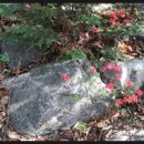 배재행정사 이미지