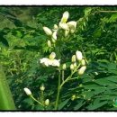 신가네농장 이미지