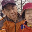 안양천 산책로 이미지