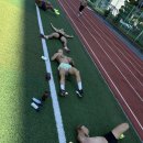 Team Shark 이미지