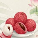 소로 1-49 이미지