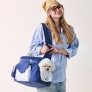 개과천선 이미지