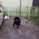 섬진주유소 이미지