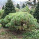 이화봉농장 이미지