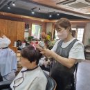 쁘띠헤어 이미지