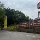 꿀먹은 돼지 | 훈제 보쌈과 시원한 묵밥의 꿀 조합, 내돈내산 솔직 후기 : 통돼지와도토리