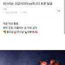 파스타는 건강식이다vs아니다 토론 달글 이미지