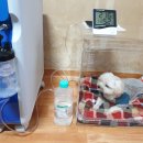 HM메디텍 이미지