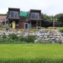 통나무민박4 이미지