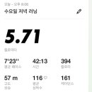 크로스핏버서커 네이버블로그