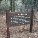 국립남해편백자연휴양림 이미지