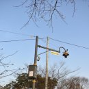 부락산문화공원 CCTV 이미지