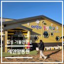 강원도 횡성군 횡성읍 한우로 | 액티비티 리뷰 - 강원도 횡성 에덴양봉원 현장 견학 후기