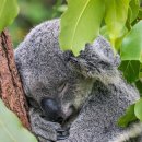 대관령트레이닝센터 이미지