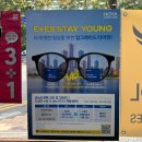 21C안경콘택트프라자 네이버블로그