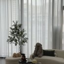 미사속눈썹 다가꿈 고급스러운 공간에서 받은 관리 후기