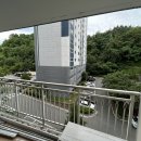 대웅주