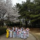 상무 태권도 이미지