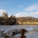 김포평화누리길 1코스 Daum카페