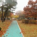 부수지공원 이미지